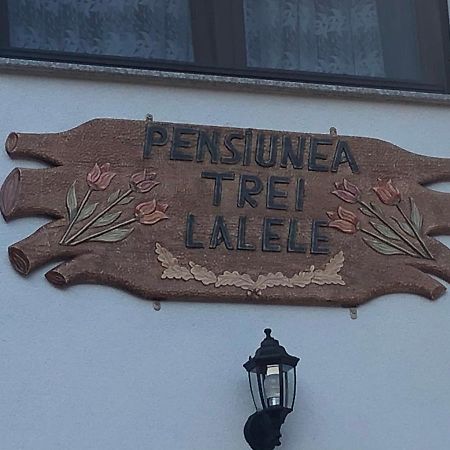 Pensiunea Trei Lalele Moisei Exterior foto