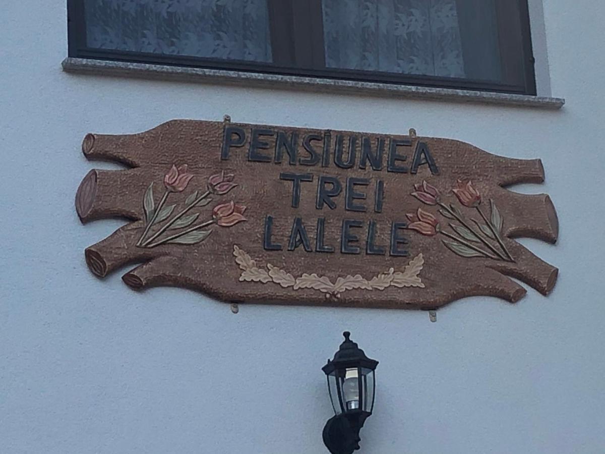 Pensiunea Trei Lalele Moisei Exterior foto
