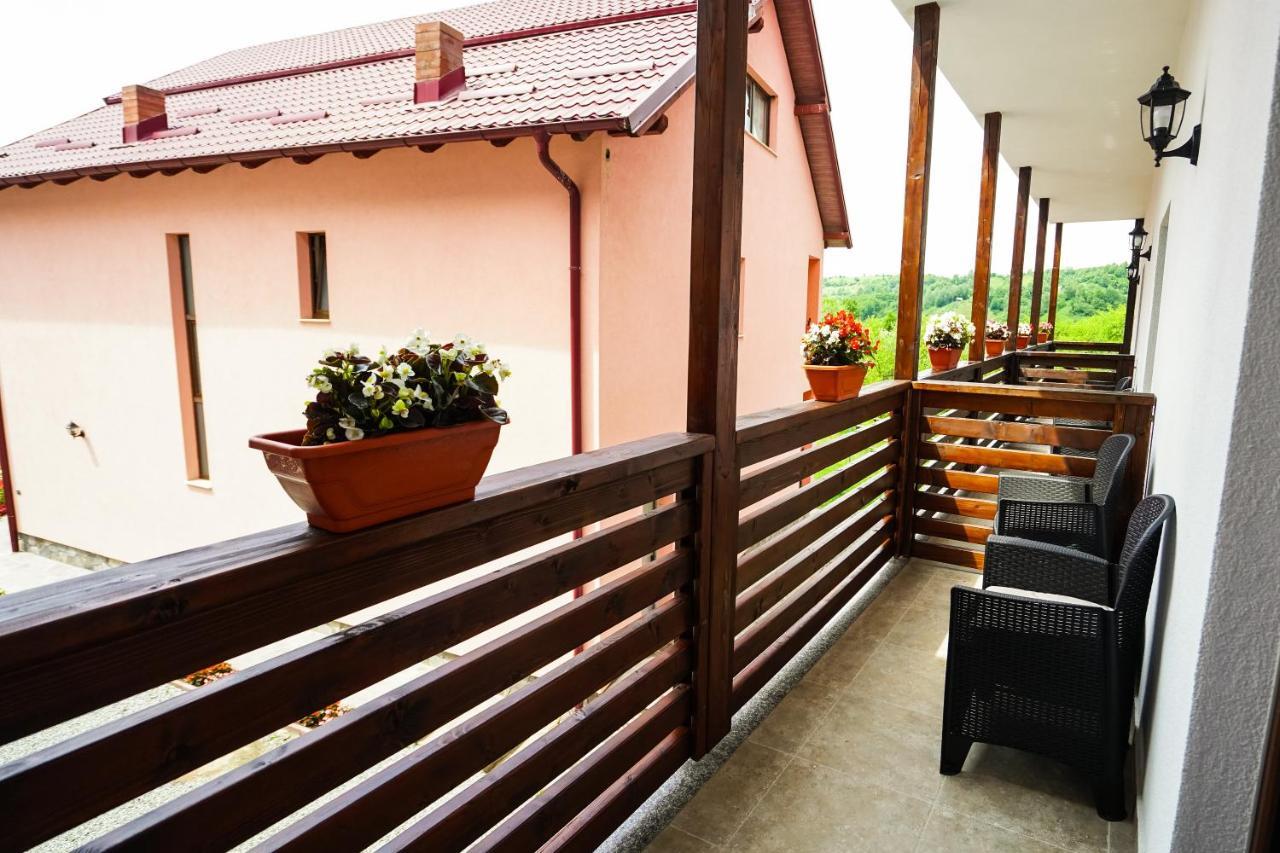 Pensiunea Trei Lalele Moisei Exterior foto