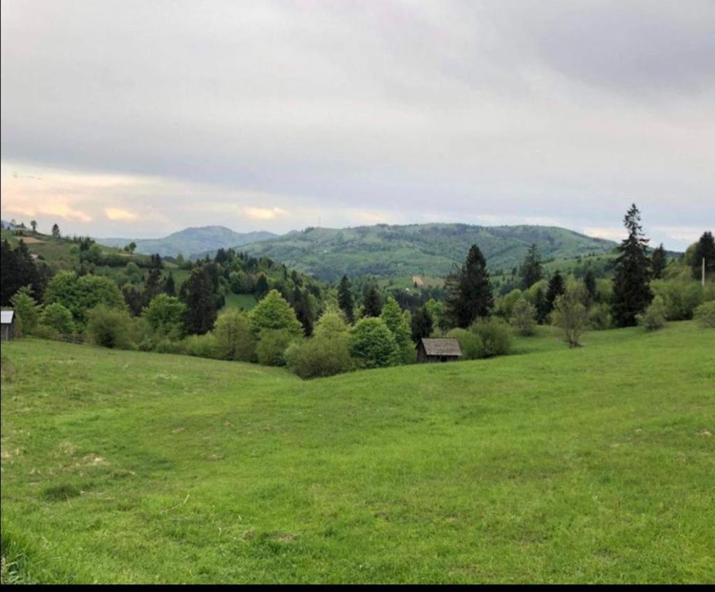 Pensiunea Trei Lalele Moisei Exterior foto