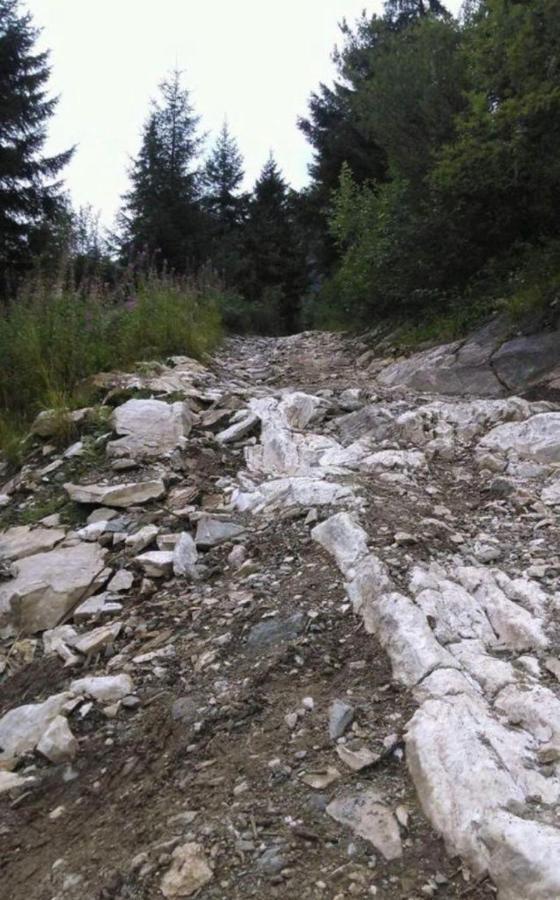 Pensiunea Trei Lalele Moisei Exterior foto
